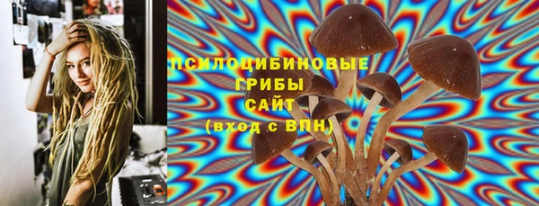 прущая мука Алзамай