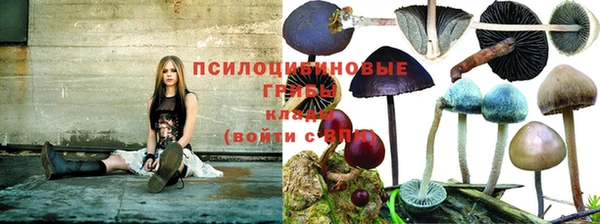 наркотики Абинск
