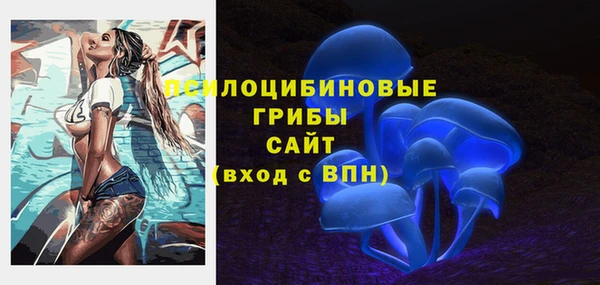 соль курить ск Алексеевка