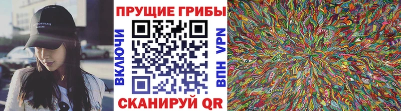 OMG ССЫЛКА  Вилючинск  Галлюциногенные грибы GOLDEN TEACHER 